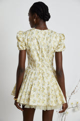 Liane floralprint pleated mini dress