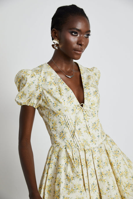 Liane floralprint pleated mini dress