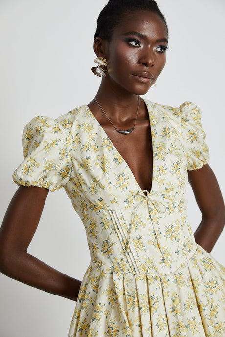 Liane floralprint pleated mini dress