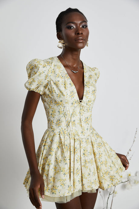 Liane floralprint pleated mini dress