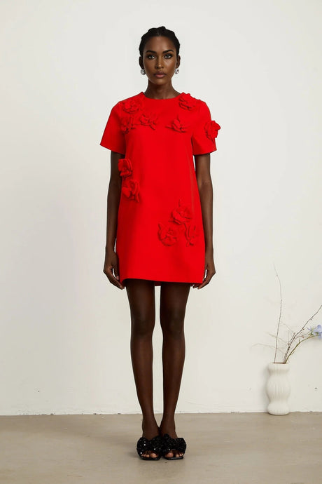 Mackenzie Mini Dress Red Floral Appliqu Short Sleeve Thigh Length