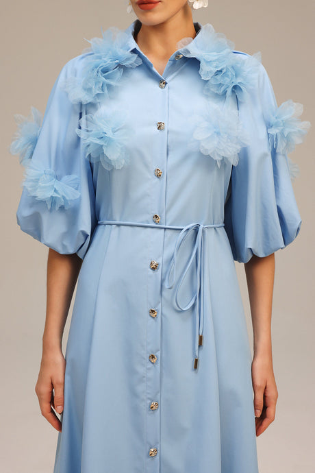 Madalynn Blue Floral Appliqué Button-Front Dress