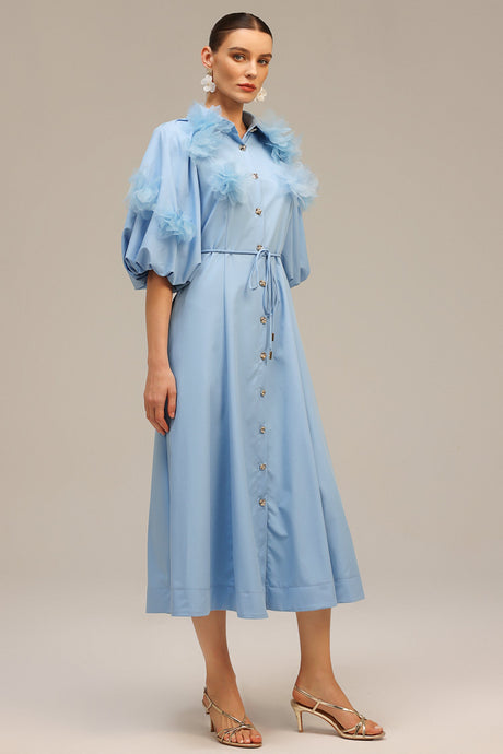 Madalynn Blue Floral Applique Button-Front Dress