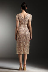 Margherita Beige Embellished V-Neck Dress Short Sleeves Fitted Waist Elegant Skirt Sophisticated Special Occasion