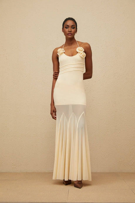 Maxi Dress - halter neck - Sleeveless - Mesh Fabric - Godet Design