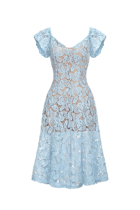 Melody Blue Lace Flutter Sleeve Midi Dress