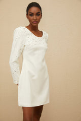 Mini Dress - Long Sleeve - Sequin & Crystal Embellishment - Fitted Waist - A - Line - Rear Zip