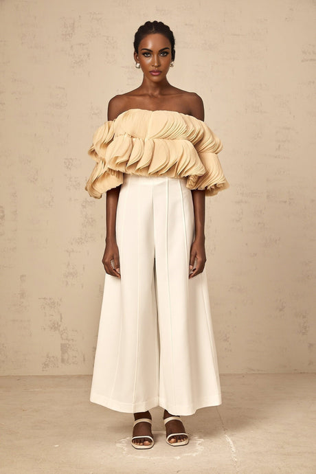 Morgan Cropped Top Off The Shoulder Shirred Panel