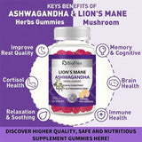 Mushroom Gummies – Ashwagandha & Lion’s Mane for Energy & Immunity