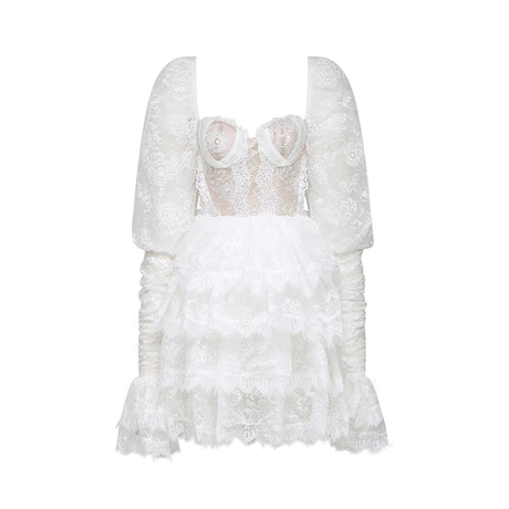 Nadine semisheer lacetrim mini dress