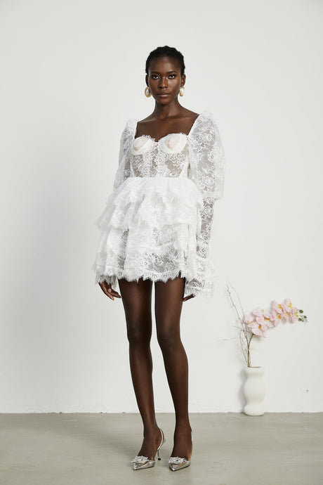 Nadine semisheer lacetrim mini dress