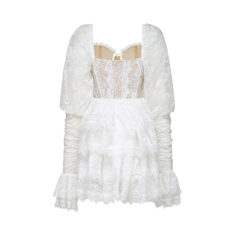 Nadine semisheer lacetrim mini dress