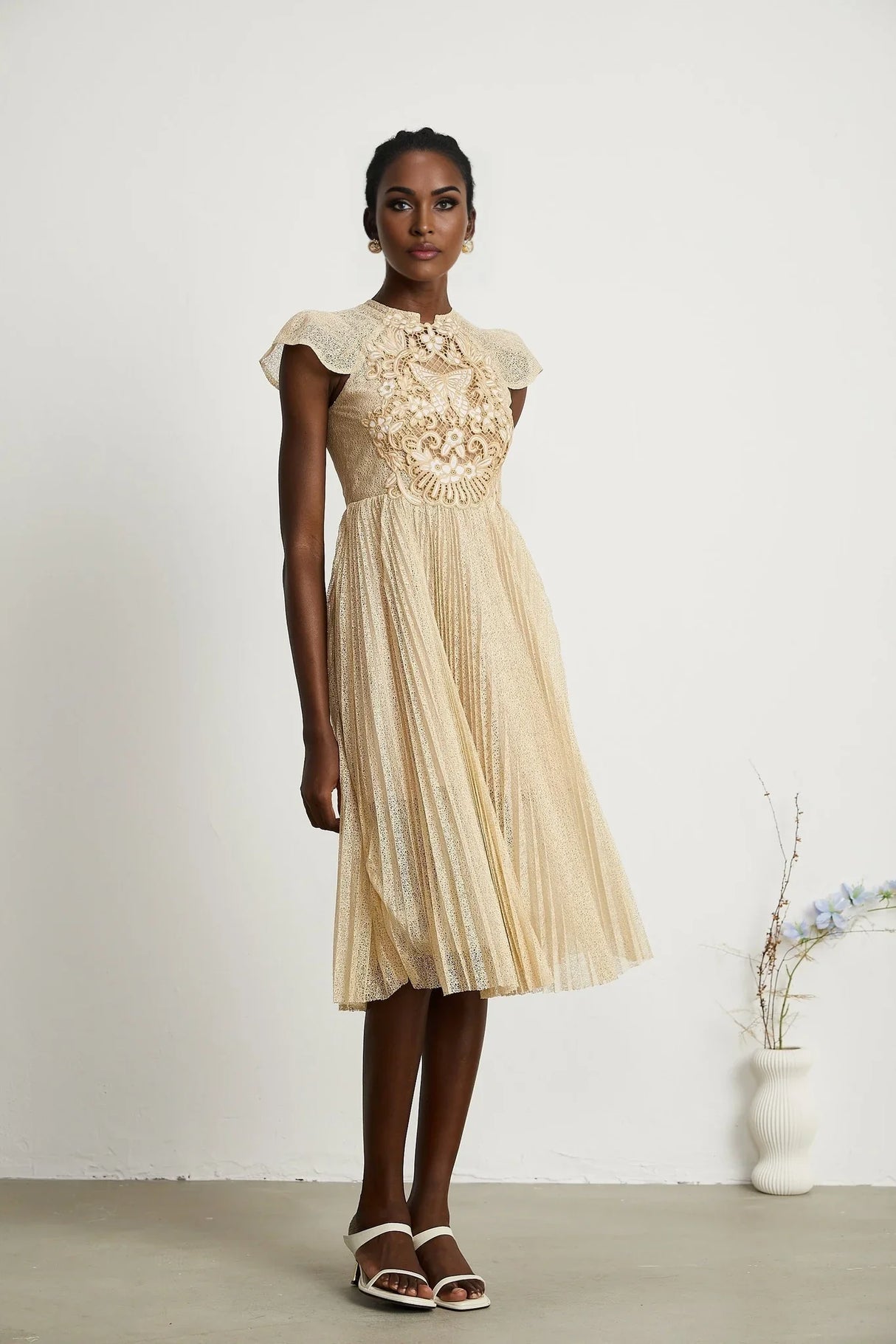 Nerissa embroidered pleated midi dress