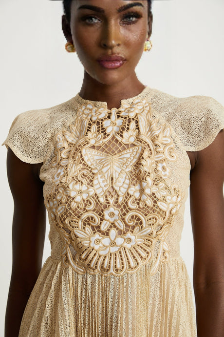 Nerissa embroidered pleated midi dress