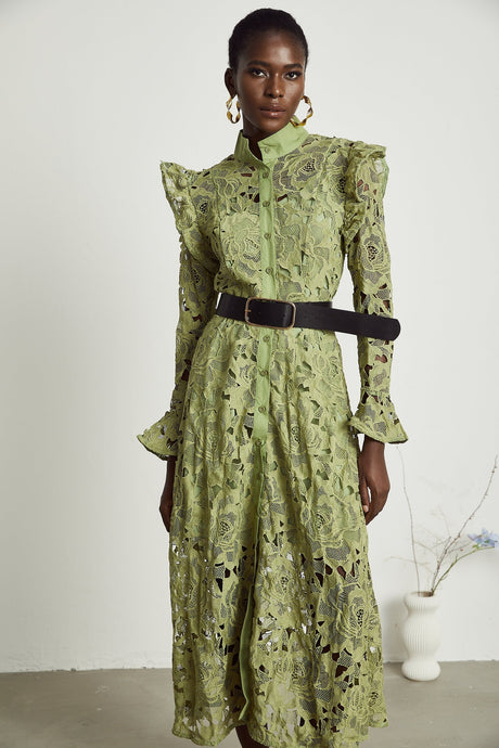 Noémie floralembroidered midi dress in Green