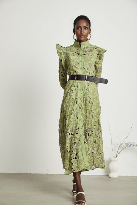 Noémie floralembroidered midi dress in Green