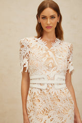 Rita Midi Dress - V - Neck - Open Back - Belted Waist - Corded Lace - Floral Embroidery