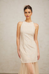 Sabrina Maxi Dress in Champagne with Sequin Embellishments