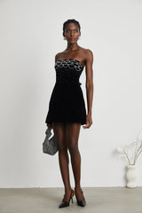 Sandrine crystalembellished velvet mini dress