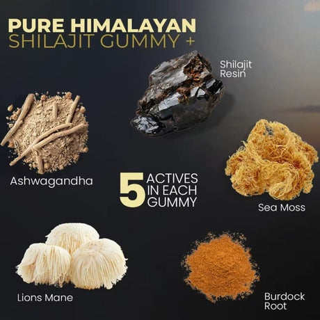 Shilajit 60 Gummies – Natural Vitality & Wellness Support