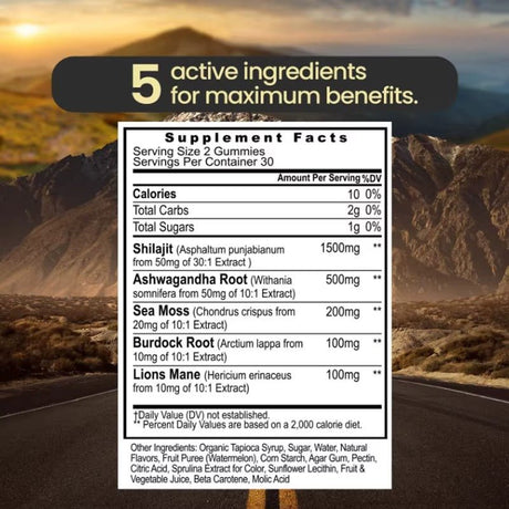 Shilajit 60 Gummies – Natural Vitality & Wellness Support