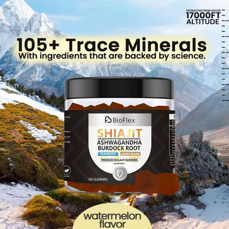 Shilajit 60 Gummies – Natural Vitality & Wellness Support