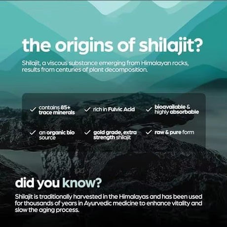 Shilajit Capsules – 10:1 Extract with Fulvic Acid, 60 Vegetarian Capsules