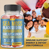 Shilajit Energy Gummies – With Sea Moss, Black Seed Oil, Ashwagandha & Ginger