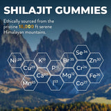 Shilajit Gummies – 1400mg Pure Himalayan Shilajit with Ashwagandha & Chaga