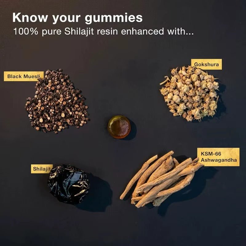 Shilajit Gummies – Pure Himalayan Energy & Immune Support