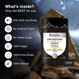 Shilajit Gummies – Pure Himalayan Energy & Immune Support