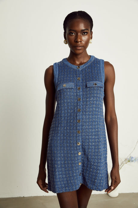 Sylvie sequinembellished mini dress