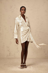Teresa Mini Dress with Classic Collar and Sequin Embellishment