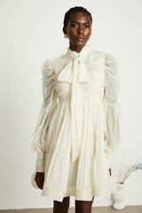 Thibaulte tuckdetail pleated tulle mini dress