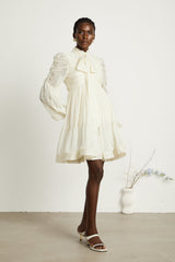 Thibaulte tuckdetail pleated tulle mini dress