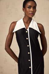 Woman wearing long fitted maxi dress with colorblocked design in contrasting colors