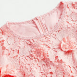 Womens Summer New Arrival Party amp Fashion 3D Floral Lace Dress