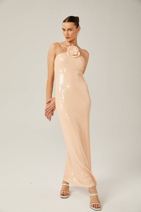 Yvette halterneck sequined maxi dress