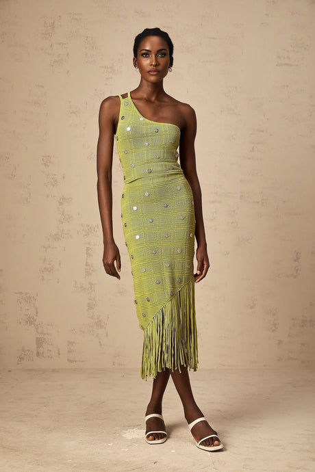 Zelmira Top & Skirt Set Green Embellished Knit Cropped Fringed Calf - Length